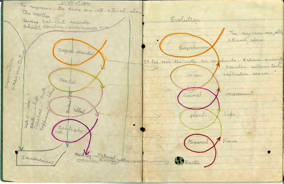 Student notes on involution and evolution