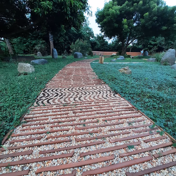 2 A pathway in the Japanese Garden