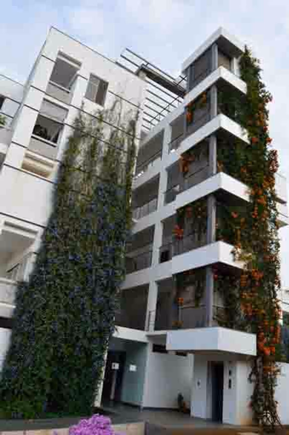 ‘Supramental rain’ (Pyrostegia venustai grows on the balconies of Citadines