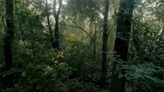 Photo credit: Christoph