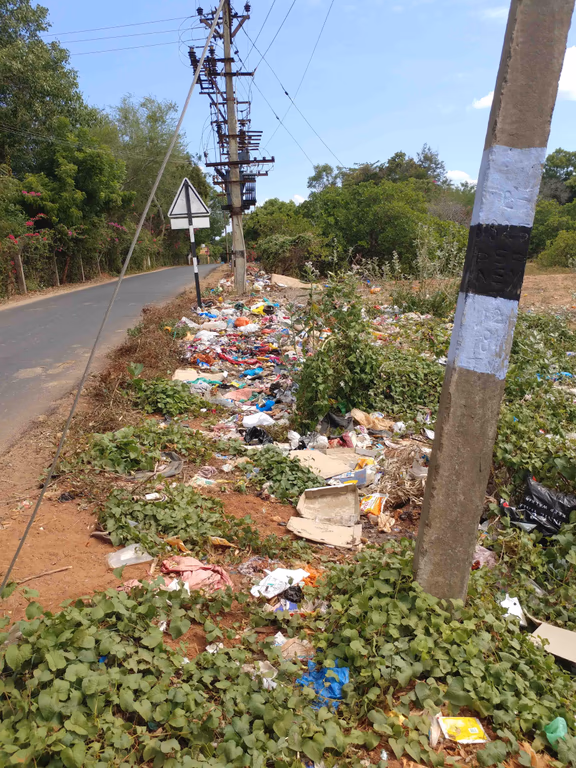 Waste dumped along the Djaima-Kuilapalayam road
