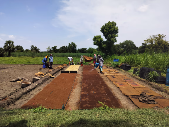 Preparing the grounds