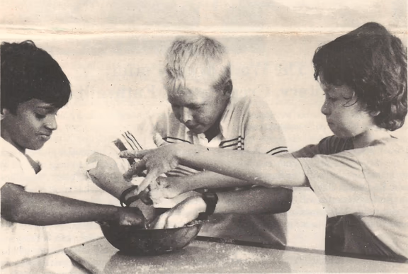 The Auroville economy: a collaborative creation