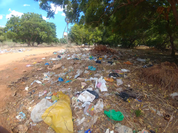 Waste dumped in the field behind the temple in Kuilapalayam