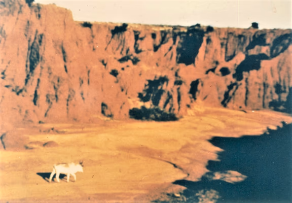 Beginning of Auroville – Canyons near Utility