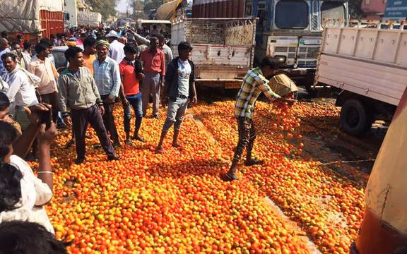 Tomato dumping on the National Highway in protest against low prices due to demonetlsatlon
