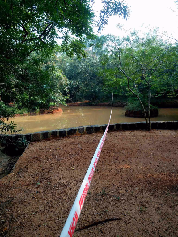 The ribbon marks one side of the planned road clearing: it will destroy a water catchment area and a stretch of old forest