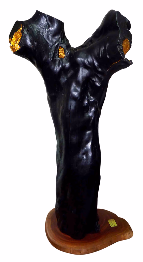 Burned 'Tree of Life'