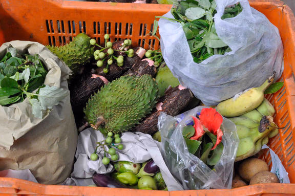 A food basket at Solitude Farm