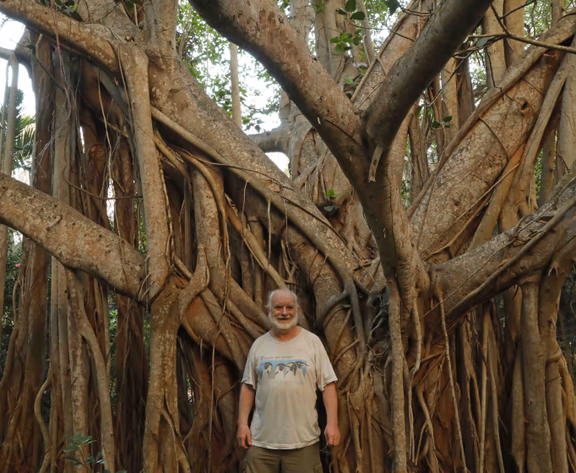Alan beside a banyan tree (Ficus benghalensis) in Fertile forest