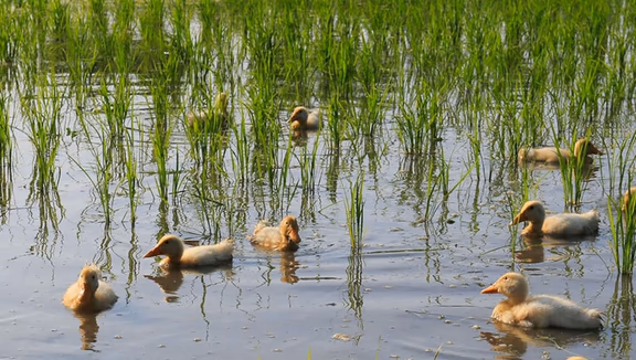 wm9H7o11TIWF4AnrvqOtQa4ePnt3vyinJhem_SKNkpE