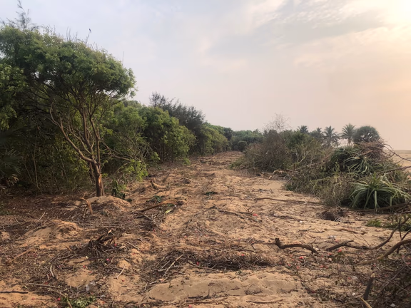 This will take years to regrow