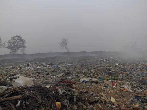 The Karuvadikuppam dump site in 2016