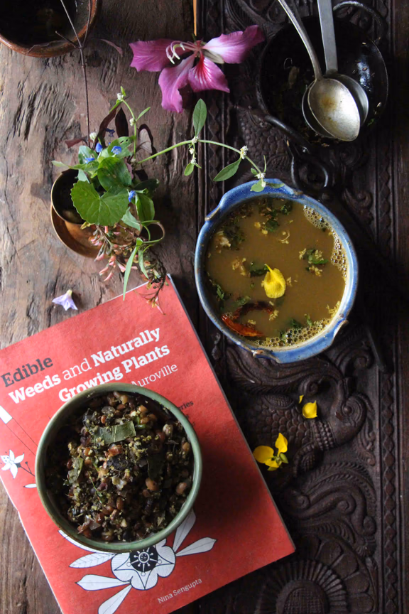 soup and curry using wild uncultivated greens by cultural anthropologist Deepa Reddy