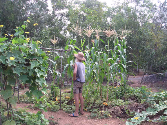 Bernard in the vegetable garden