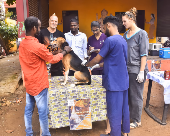 At the Auroville Dog Shelter